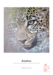 Hahnemühle - HFA Bamboo A2x 25 ad 290gsm