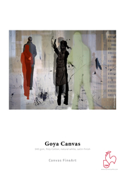 Hahnemühle - HFA Goya Canvas 36