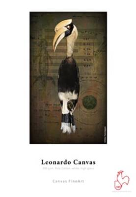 HFA Leo. Canvas A3+x 25 ad 390gsm
