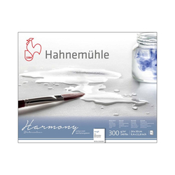 Hahnemühle - Harmony Blok Rough 300g 24x30cm12 Yaprak
