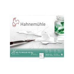 Hahnemühle - Harmony Hot Pressed 300g 24x30cm