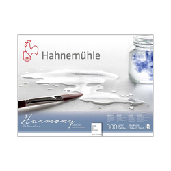 Hahnemühle - Harmony Rough 300g 12 Yaprak 30x40cm