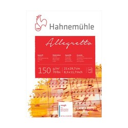 Hahnemühle - Suluboya Blok Allegretto Rough 150g A4 10 Yaprak