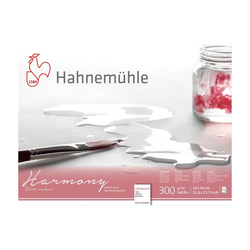 Hahnemühle - Suluboya Blok Harmony 300g Matt 30x40cm 12 Yaprak