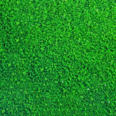 Kırpıntı Sünger Yaprak Yeşili 25gr