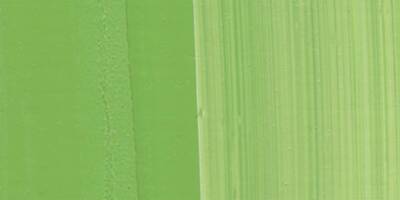 1862 Yağlı Boya Perm Yeşil(Sarımsı) 37ml