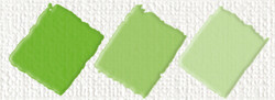 Nerchau - Hobby Akrilik Glossy Mayıs Yeşili 59ml