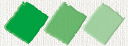 Nerchau - Nerchau Hobby Akrilik Glossy Medyum Yeşil 59ml