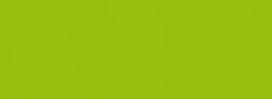 Nerchau - Hobby Akrilik Matt Neon Yeşil 59ml