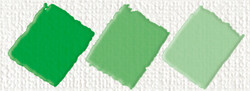 Nerchau - Hobby Akrilik Matt Orta Yeşil 59ml
