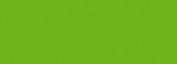 Nerchau - İpek Boyası Açık Yeşil 59 ml