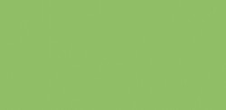 Nerchau - Koyu Kumaş Boyası Açık Yeşil 59ml