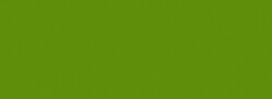 Nerchau - Porselen Boyası Zeytin Yeşili20ml