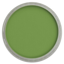 Pan Pastel - PanPastel Chromium Oxide Green