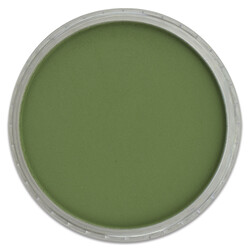 Pan Pastel - PanPastel Chromium Oxide Green Shade