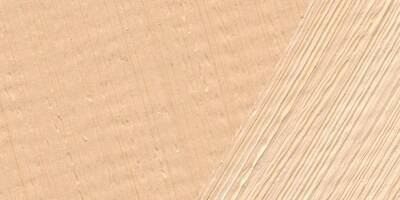 PonART Troya Yağlı Boya Ten Rengi 37 ml